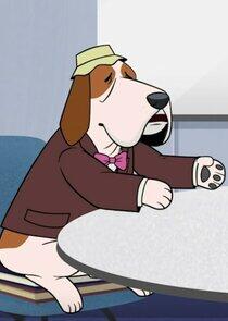 Dog with Bucket Hat Dog with Bucket Hat
