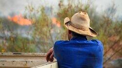 Bush Fire Coming! Bush Fire Coming!
