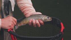 Upper Peninsula Trout Adventures Upper Peninsula Trout Adventures