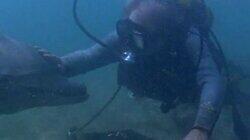 Splashdown Splashdown