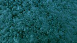 Sea of Secrets Sea of Secrets
