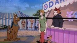 Scooby-Nocchio Scooby-Nocchio