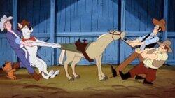 Tumbleweed Derby Tumbleweed Derby