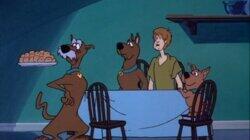 Scooby's Roots Scooby's Roots