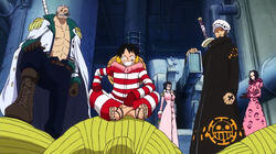 The Counterattack Begins! Luffy and Law's Great Escape The Counterattack Begins! Luffy and Law's Great Escape