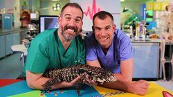 There's a Lizard in the Lab There's a Lizard in the Lab