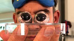 How Your Reflexes Can Save You How Your Reflexes Can Save You