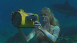 The Camera Never Lies The Camera Never Lies