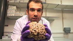 Your Brilliant Brain Your Brilliant Brain