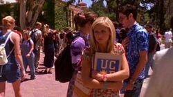 The Freshman The Freshman