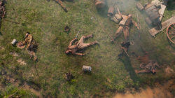 Ashes, Ashes Ashes, Ashes