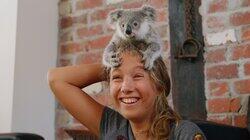 Baby Koalas! Baby Koalas!
