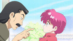 Here's Ranma
