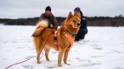 Odotuksen aikaa Odotuksen aikaa