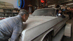 Return of the Impala Return of the Impala