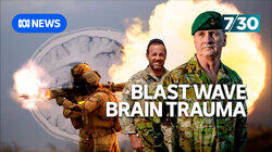 Blast Wave Brain Trauma Blast Wave Brain Trauma