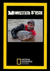 Monster Fish Monster Fish