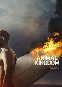 Animal Kingdom - Season 2
