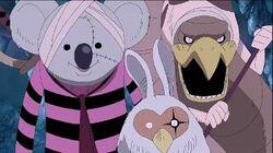 A Bunch of Animals? Perona's Wonder Garden! A Bunch of Animals? Perona's Wonder Garden!