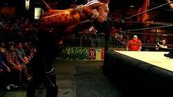 Fight to the Death Fight to the Death