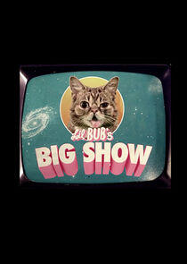 Lil BUB's Big SHOW Lil BUB's Big SHOW