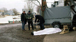 Развод Развод