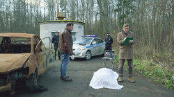 Хвост скорпиона Хвост скорпиона