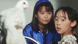 The Fighting Courage Given By A Dove The Fighting Courage Given By A Dove