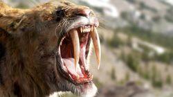Land of the Sabre-Tooth Land of the Sabre-Tooth