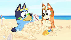 The Beach