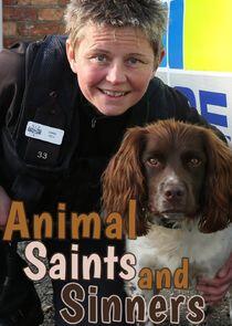 Animal Saints and Sinners Animal Saints and Sinners