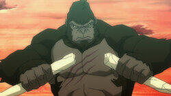 You're Not a King, You're Just a Stupid Animal You're Not a King, You're Just a Stupid Animal