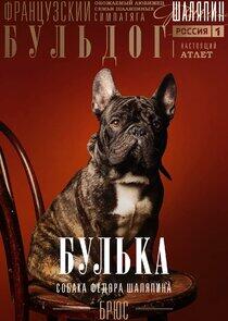 Булька Булька