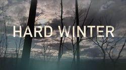 Hard Winter Hard Winter