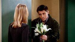 The One Where Joey Dates Rachel The One Where Joey Dates Rachel