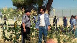 My Name is Inmate 28301-016 (2) My Name is Inmate 28301-016 (2)