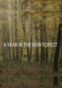 A Year in the New Forest - Season 1 A Year in the New Forest - Season 1