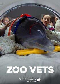 Zoo Vets Zoo Vets