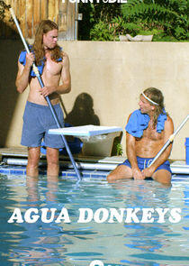 Agua Donkeys Agua Donkeys