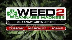 Weed 2: Cannabis Madness Weed 2: Cannabis Madness