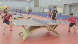 Table Tennis Table Tennis