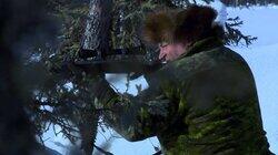 Dire Wolf Dire Wolf