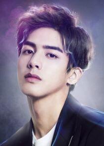 Lin He Ping