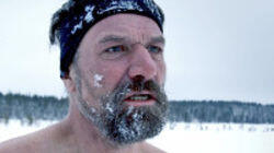 The Ice Man The Ice Man