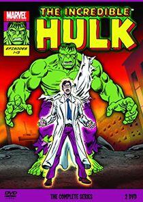 The Incredible Hulk The Incredible Hulk