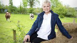 Julie Walters Julie Walters