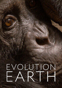 Evolution Earth Evolution Earth