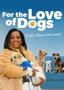 For the Love of Dogs - Season 13 For the Love of Dogs - Season 13