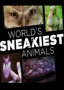 World's Sneakiest Animals World's Sneakiest Animals