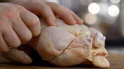 Chicken Chicken